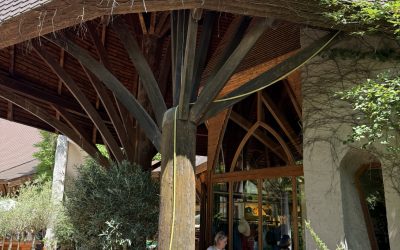 Tussen leegstand en eeuwigheid – Een overdenking over de kwetsbaarheid van organische architectuur.